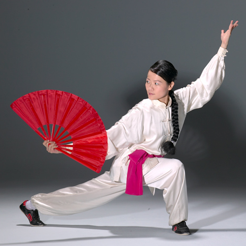 Wushu Akademie 2 Tai Chi